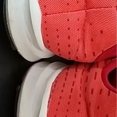 ＮＩＫＥ。レディース靴の画像