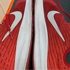 ＮＩＫＥ。レディース靴の画像