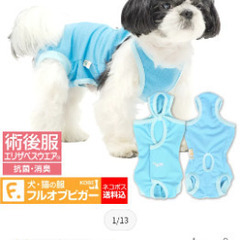 【取引中】犬用エリザベスウェアお譲りします