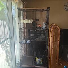3段キャットゲージ、その他