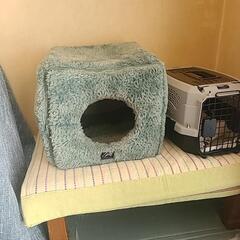 猫グッズ