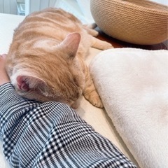 友達になりたいです。 - メンバー募集