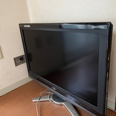 テレビ