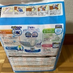 中型犬用（Lサイズ）マナーウェア　オムツの画像