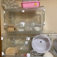 ハムスター飼育セット