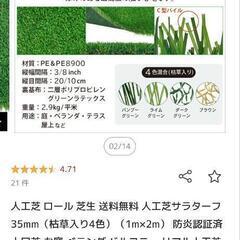 人口芝生の画像