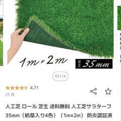 人口芝生の画像