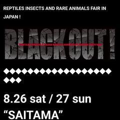 🐍🐢爬虫類見に行きませんか？🦎🦔