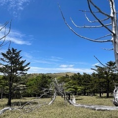 ハイキングが好きな人⭐︎お酒も好きな人⭐︎女性⭐︎