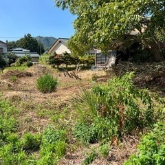 新潟　激安物件　弥彦村　土地　農業　畑　ビニールハウス　資材置き場　駐車場　DIY可　家庭菜園　貸農園 - 西蒲原郡
