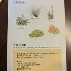 植木の画像