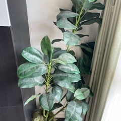 観葉植物を模したもの