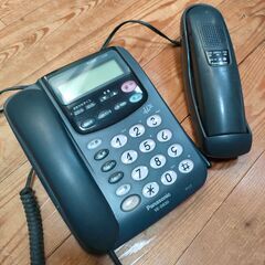 Panasonic電話機VE-D830の画像