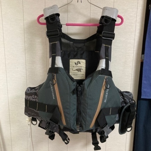 レアモノ　ブルーストーム　MIXOPTERUS