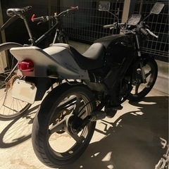 ウルフ50 実動　の画像