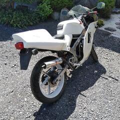 ③ホンダ　NS-1 (CBR仕様)  /  実働  /  2スト  /  50cc  /  絶版名車の画像