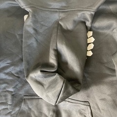 新品未使用！グリーンディAmerican idiotパーカーの画像