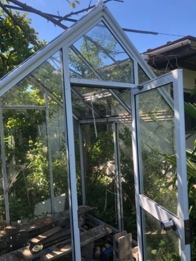 温室（ガラス）1坪用　8/30日迄