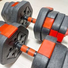 ダンベル 片手15kg×2 合計30kg セットの画像