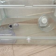 グラスハーモニー450Plusの画像