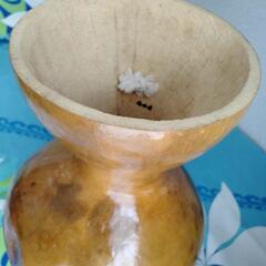 フラダンス楽器　イプ