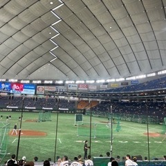 8.26 東京ドーム　巨人阪神戦　オーロラシートBの画像
