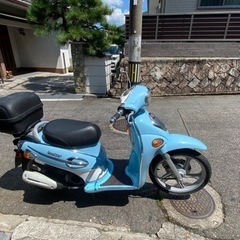 キムコ、ルカー　極上、ソク乗り車　お宝出品　希少車の画像