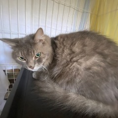 ずっとのおうち探し⑯