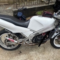 ヤマハ TZR250 1KTの画像