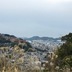 ランキングキーワードに紐づく投稿画像-山林