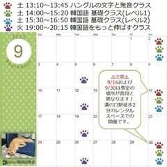 【Binari韓国語教室】いよいよ来週！9／2（土）に新クラスがスタートします！の画像