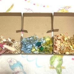 ♡ハーバリウム♡ ハンドメイド　まとめ売り　セット　キット　花材　オイル　瓶の画像