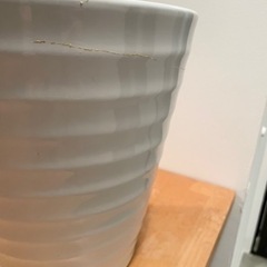 鉢の画像