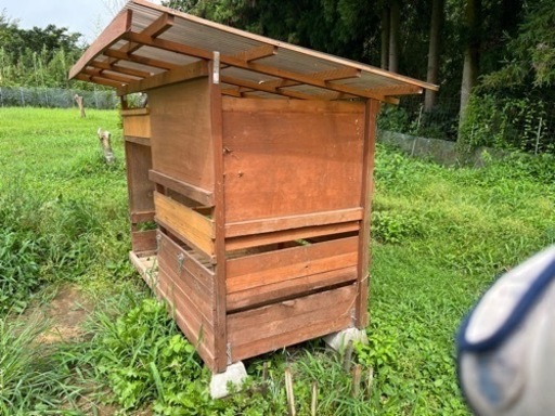 ヤギ小屋