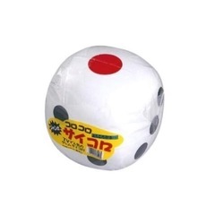 大きなサイコロ