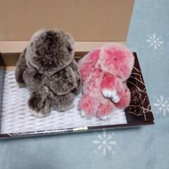 超モフモフうさぎ🐰