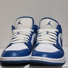 ナイキジョーダン 女性サイズ24.5の画像