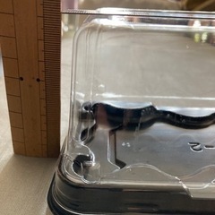 ケーキ2個入りパッケージ③    蓋と台、計28セット、クリスマスケーキカット後保管にの画像