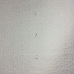 🪟防炎カーテン②🪟の画像