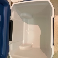 コールマン　クーラーボックスの画像