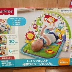 レインフォレスト 指遊びミュージカルジム