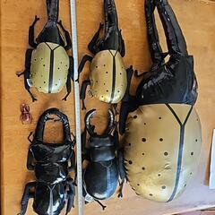 カブトムシぬい