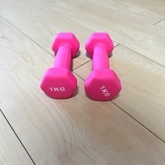 ダンベル1kg 筋トレ