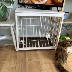 小さめのゲージです。