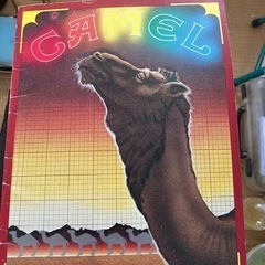 CAMEL 1979.1980来日コンサートパンフレット　9／3まで。