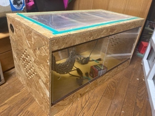 【明日受付終了予定】爬虫類　ケージ