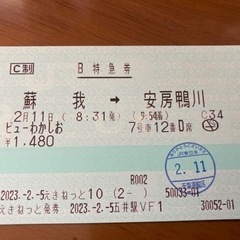 【使用済み】臨時特急 ビューわかしお　指定席券