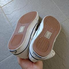 ポロ スニーカーの画像
