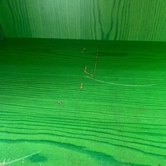 カラーボックスの画像