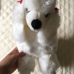 プードル　32cm